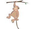Monkey Hanging on Tree