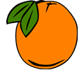 Simple Fruit Orange
