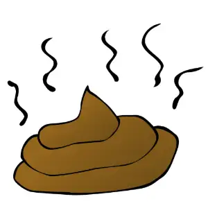 Feces Clipart