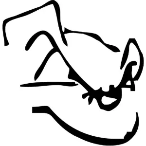 Dog Face Clipart