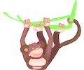 Monkey Swinging from Tree