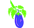 Eggplant 08