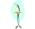 Hummingbird 13