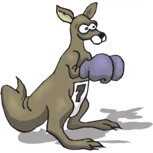 Kangaroo Boxing Clipart