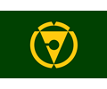 Flag of Matsuno, Ehime