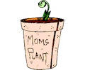 Mom''s Plant