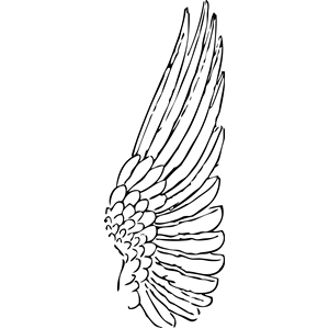 wing