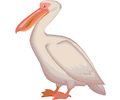 Pelican 04