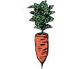 Simple Carrot