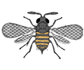Very Detailed Bee