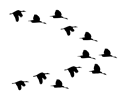 Flock Of Ducks Flying Silhouette