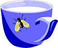 Fly on Cup