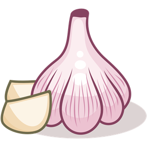 Garlic (#3)