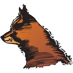 Bear Face Clipart