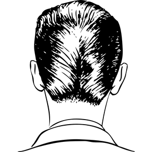 d-a haircut rear view