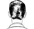 d-a haircut rear view