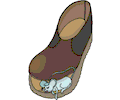 Mouse Sleeping in Shoe
