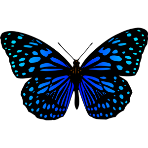 Butterfly 17 (colour 3)