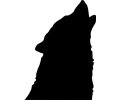 Wolf Head Howl 3