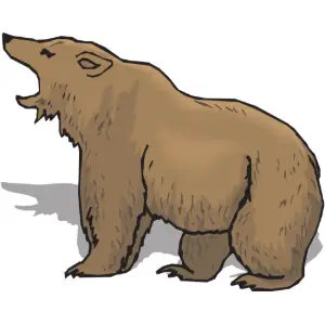Bear Clipart