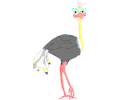 Ostrich with Glasses