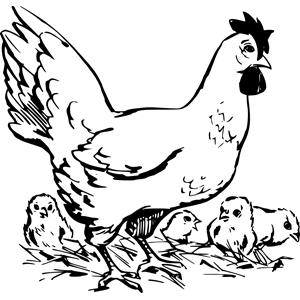 Hen and Chicken