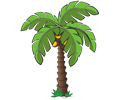 Palm tree 7