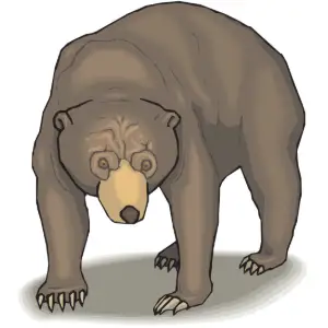 Bear Clipart