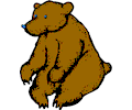 Bear 19