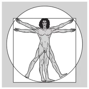 Da Vinci Sketch Clipart