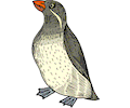 Penguin 14