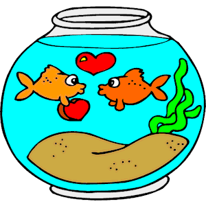 Goldfish in Love