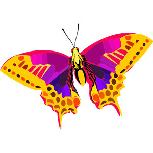 Abstract Colorful Butterfly