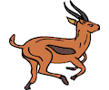 Antelope 005