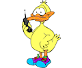 Duck with Cellular Phone