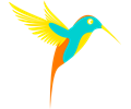 Colibri (single bird colorfull)