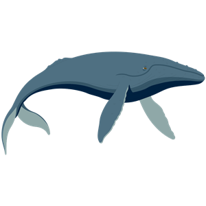 WHALE1 clipart, cliparts of WHALE1 free download (wmf, eps, emf, svg ...