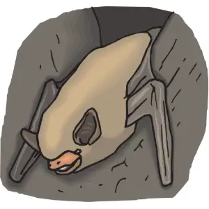 Bat Clipart