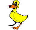 Duck 010