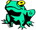 Frog 038
