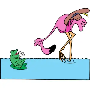 Flamingo Frog Clipart