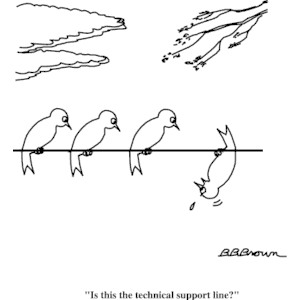 Bird - Technical Support