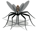 Mosquito (#3)