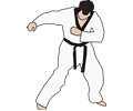 Taekwondo Fighter