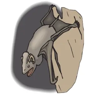 Bat Clipart