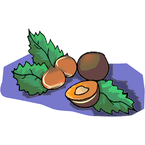 Nuts Fruit