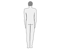 Male body silhouette - back