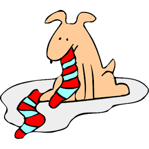 Dog Eating Socks