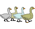 Geese 2
