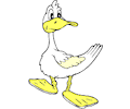 Duck 027
